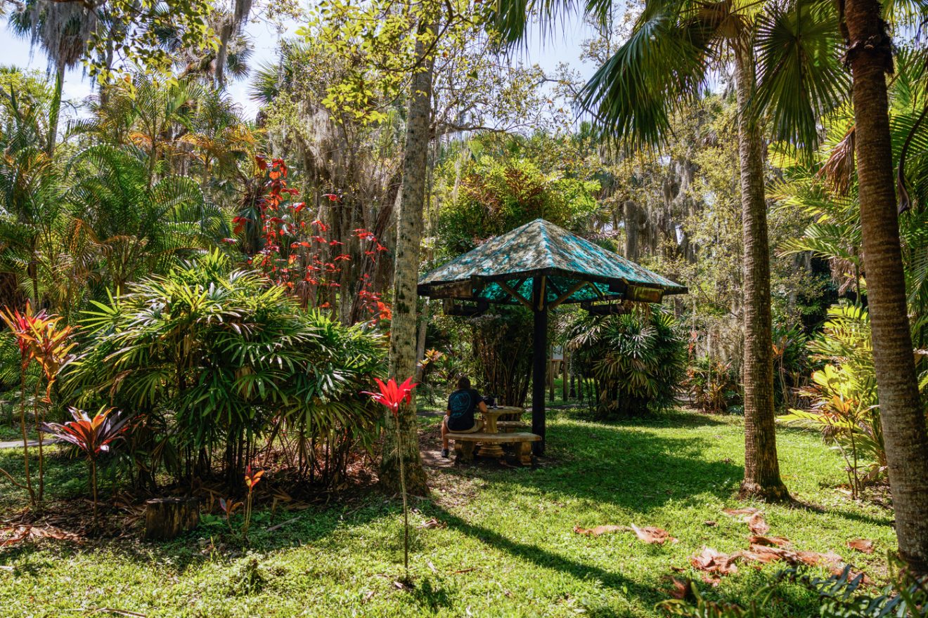 Florida Tech Named 2024 Tree Campus by Arbor Day Foundation