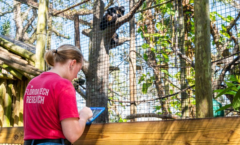 Photo of Florida Tech Announces New Bachelor’s Degree in Animal Behavior and Cognition
