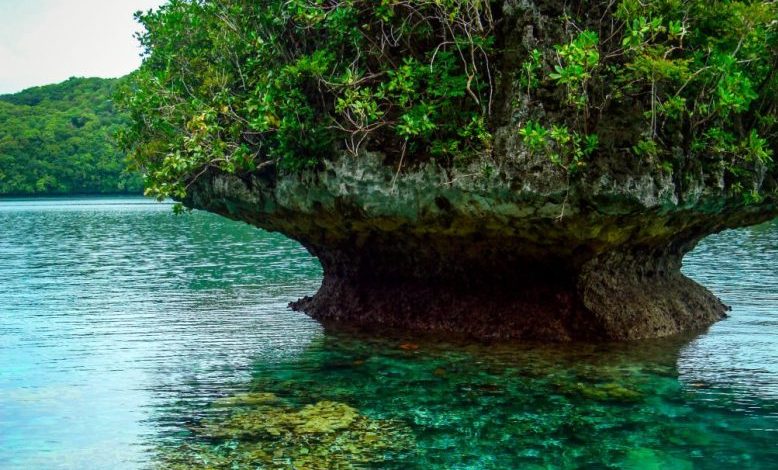 Photo of Equatorial Reefs May Act as Refugia for Corals During Marine Heatwaves