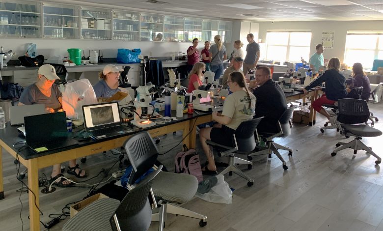 Photo of Richard Turner Attends Amphipod Taxonomy Workshop, Engages with Alumni