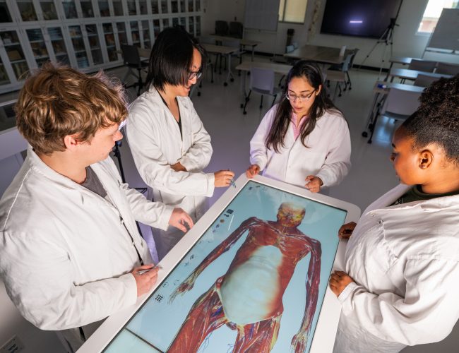 So, You Want to Be a Doctor? Premed and Biomed at Florida Tech