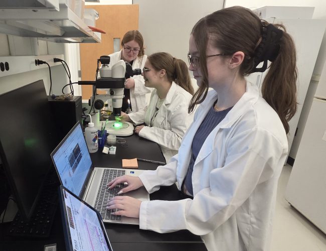 Undergraduate Experiment Exploring Neurodegeneration in Microgravity Selected for Spaceflight