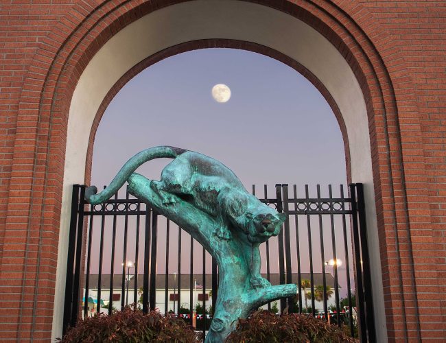 Winter 2026 AlumNotes