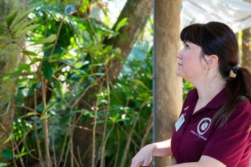 COPLA Faculty Catherine Talbot Breaks Down Behavior of Viral Baby Monkey, “Punch”