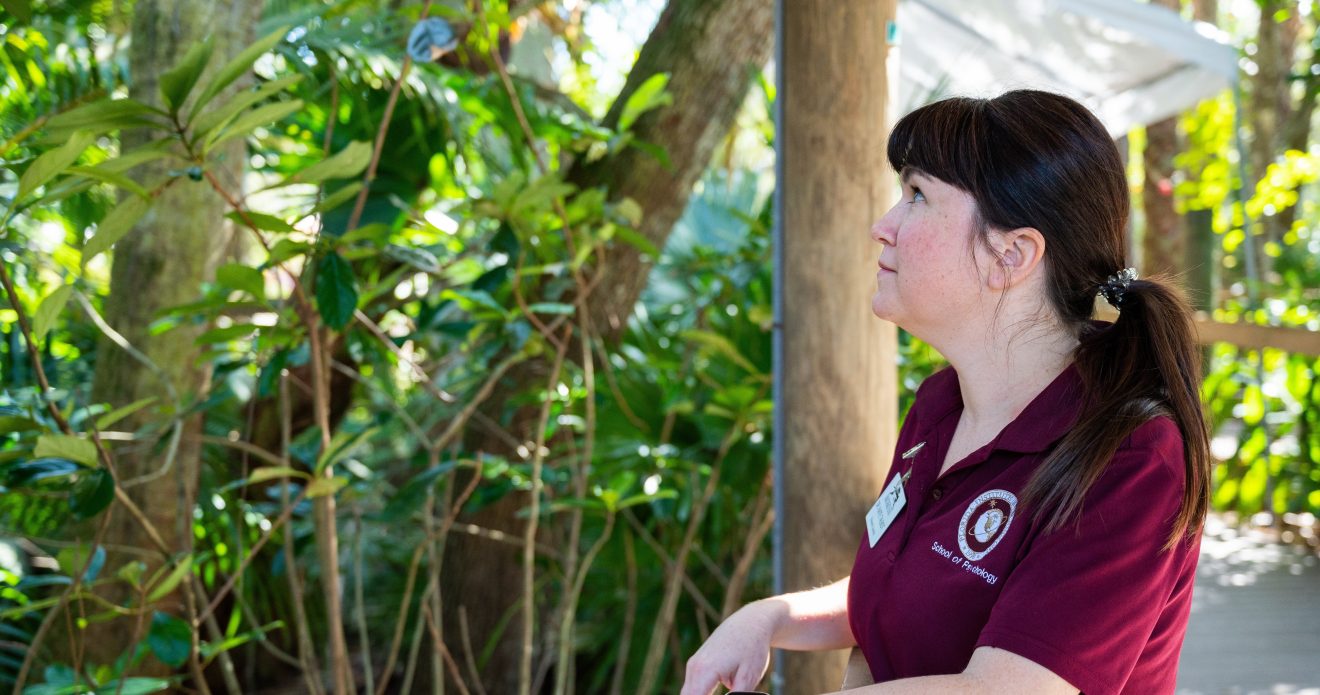 COPLA Faculty Catherine Talbot Breaks Down Behavior of Viral Baby Monkey, “Punch”