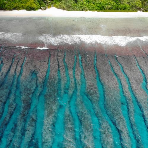 New Study of Global Reef Growth Over Past 12,000 Years Offers Insights Into Impact of Rising Ocean Temperatures