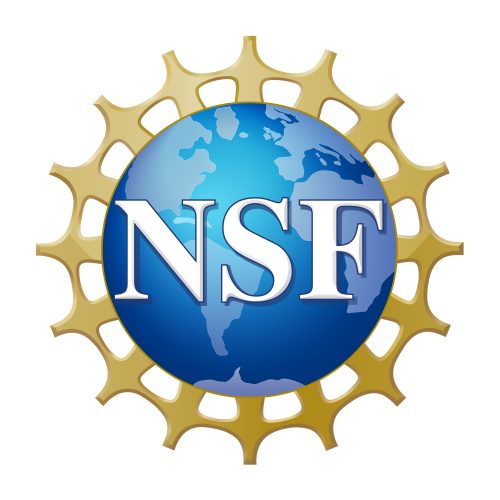 Four Florida Tech Students Earn Prestigious NSF Graduate Research Fellowship