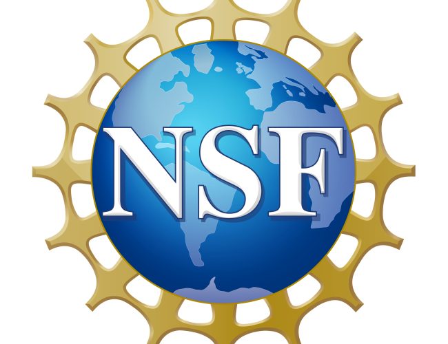 Four Florida Tech Students Earn Prestigious NSF Graduate Research Fellowship