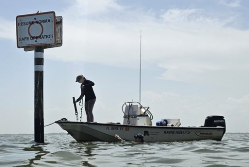 New Study Shows Effects of Hypoxia in Banana River