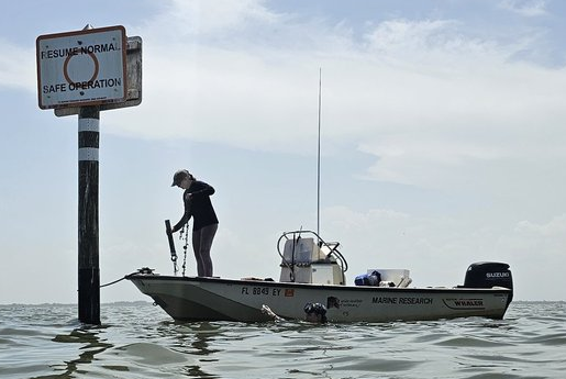 New Study Shows Effects of Hypoxia in Banana River